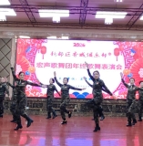 《水调歌头·香城歌舞盛会》