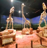 《浪淘沙·永川博物馆感怀》